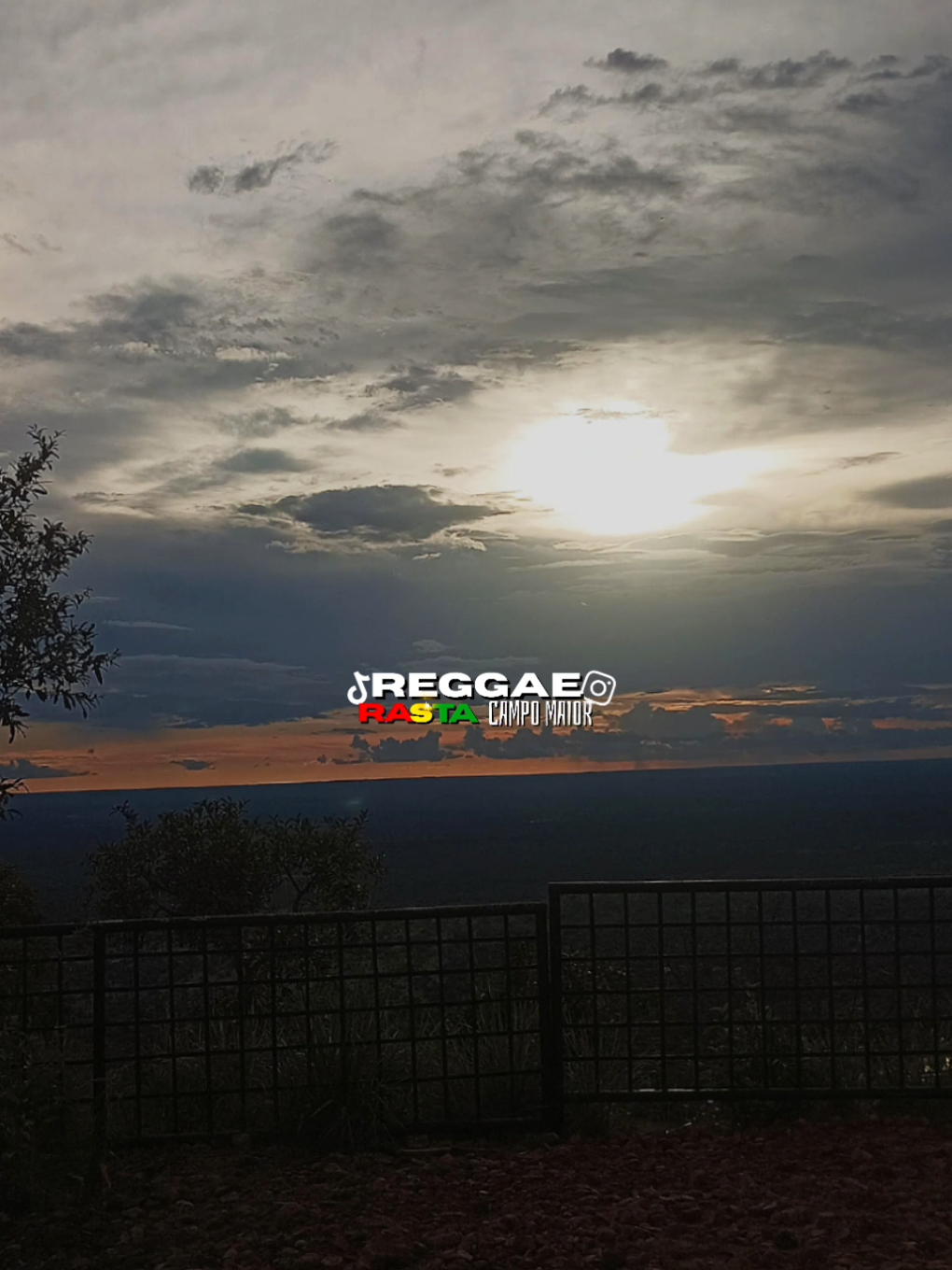 @REGGAE RASTA CM