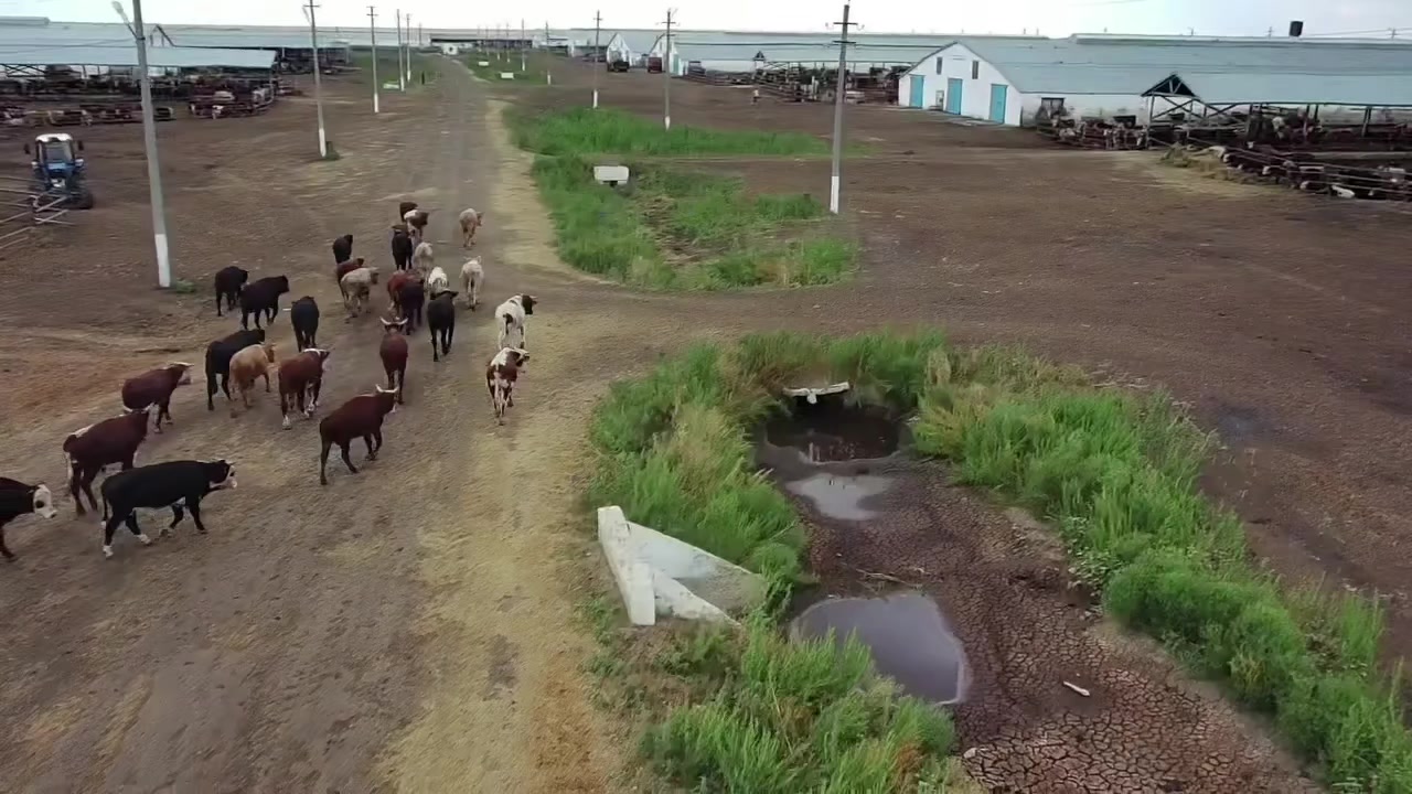 @Дмитрий