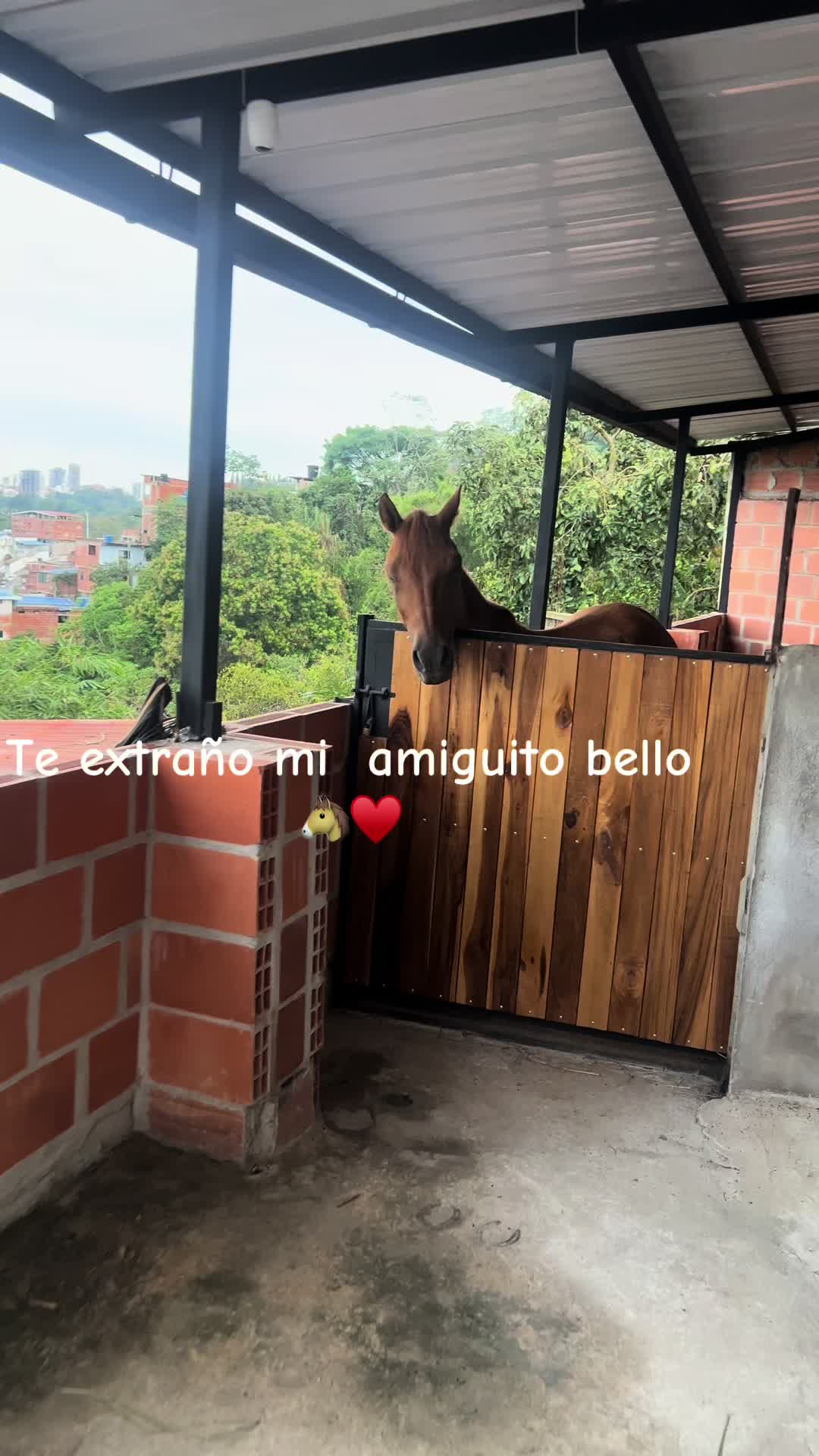 @olgal2505