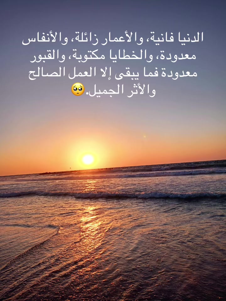 @Ramadan Sobhi-10