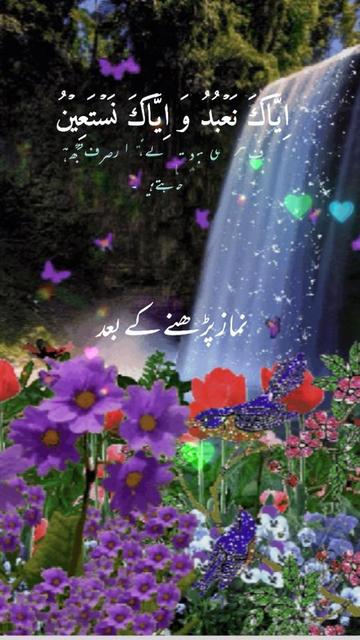 @madinamunawar7