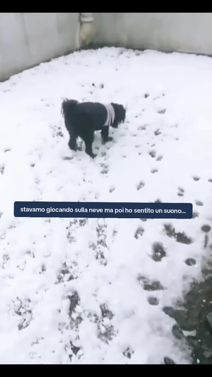 @Francesca Lupo