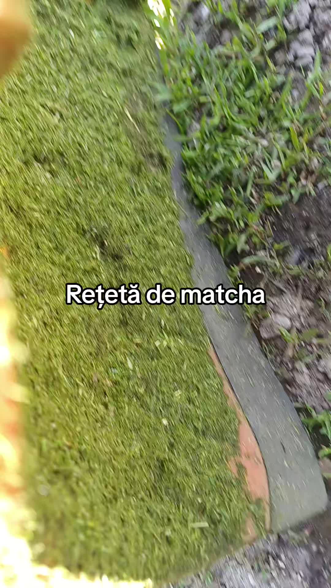 @Geo