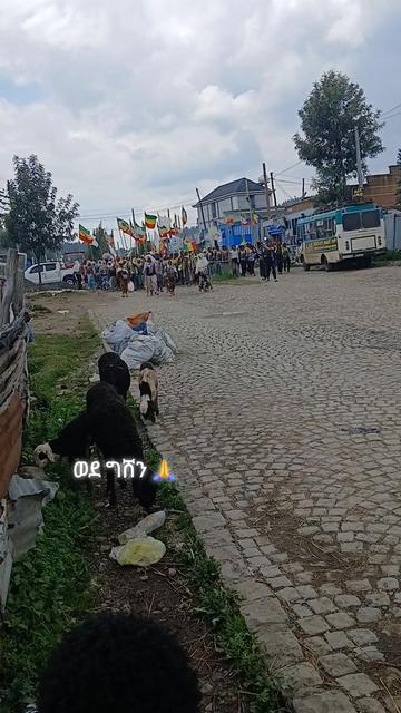 @ምርጥላ ⚽️ 🧤