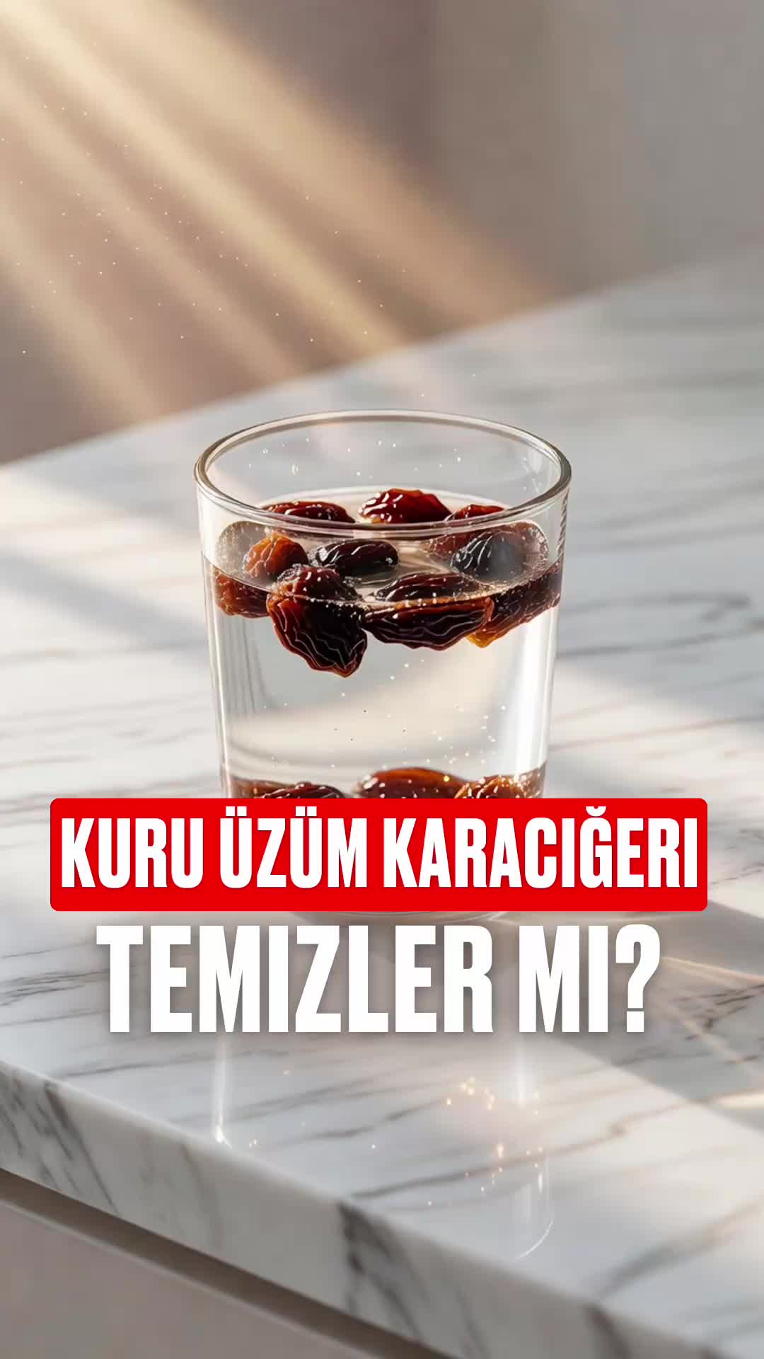 @Bolotov_Merkezi