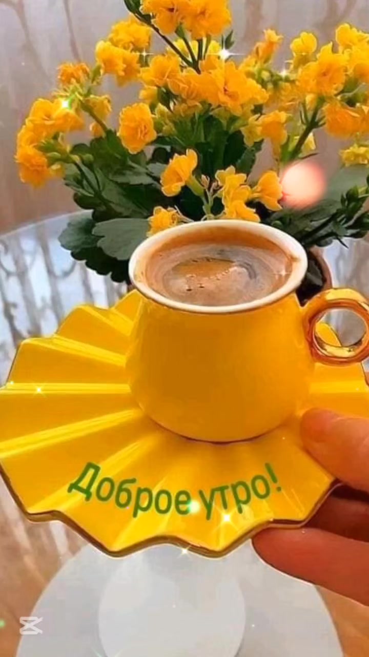 @Elena_7377