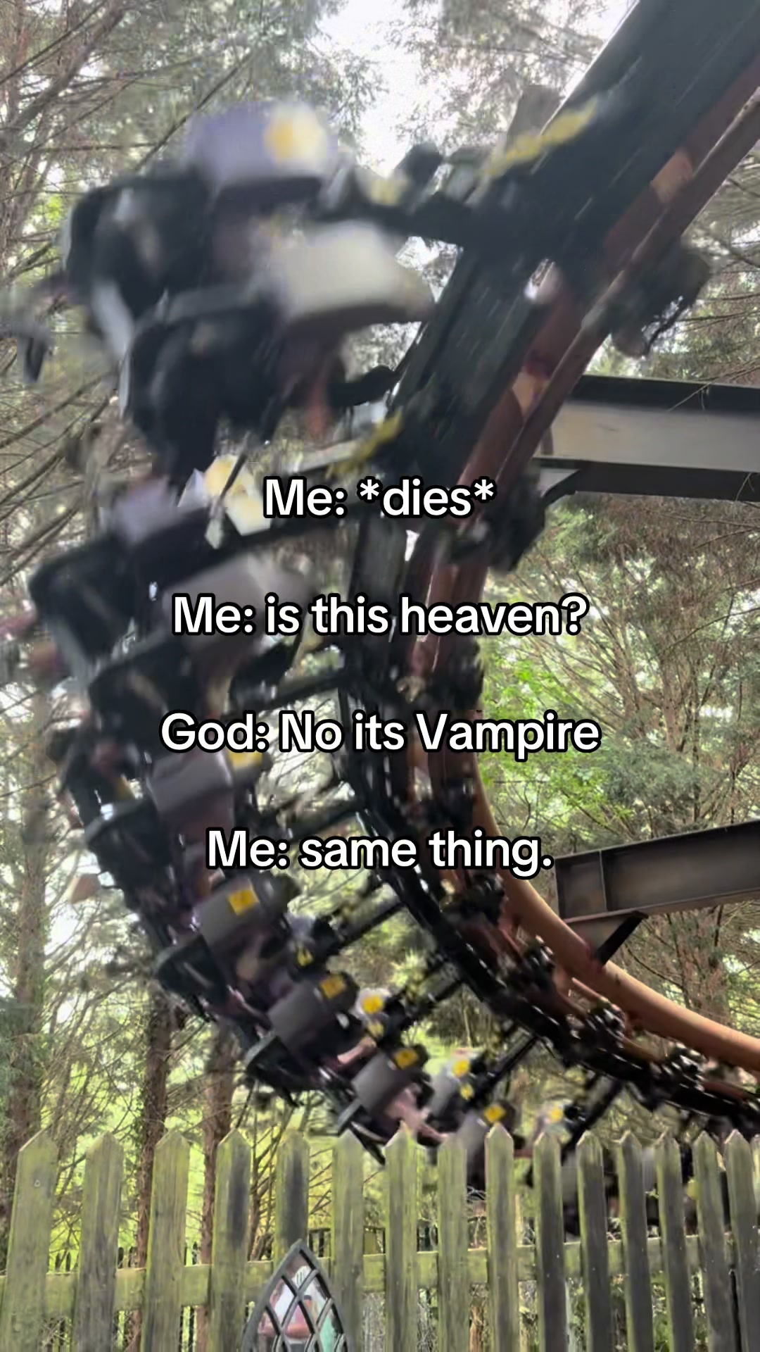 @🦇𝔈𝔩𝔦🦇