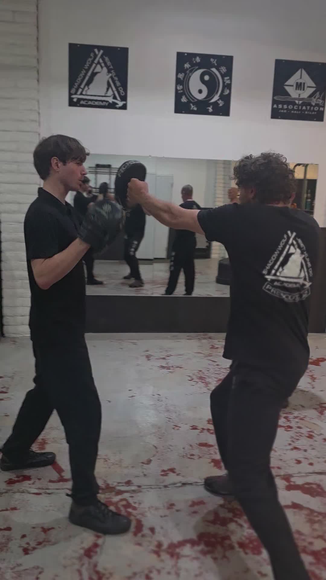 @Shadow Wolf JKD Academy