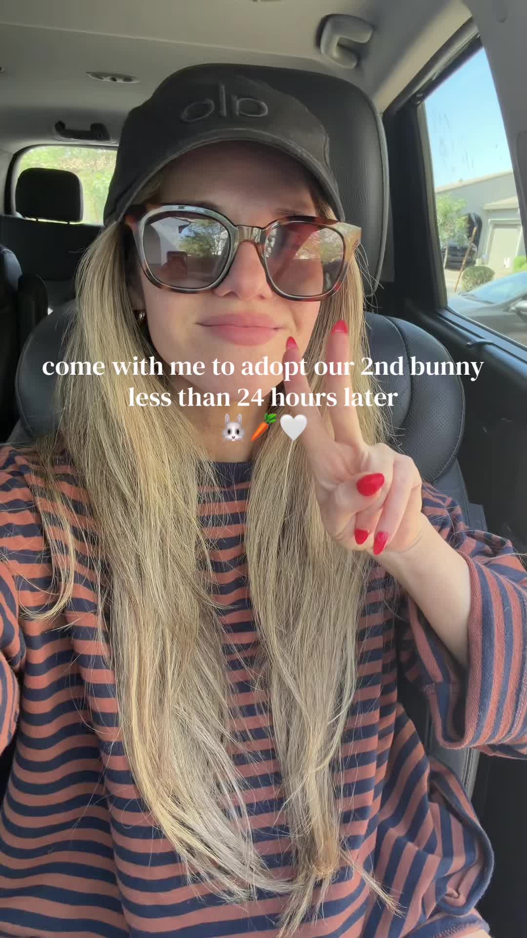 @Amanda Mohadjer