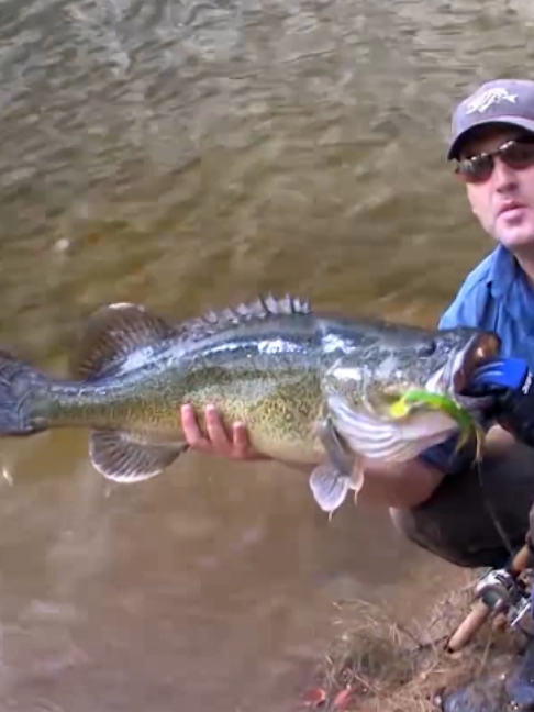 @Fishing TV
