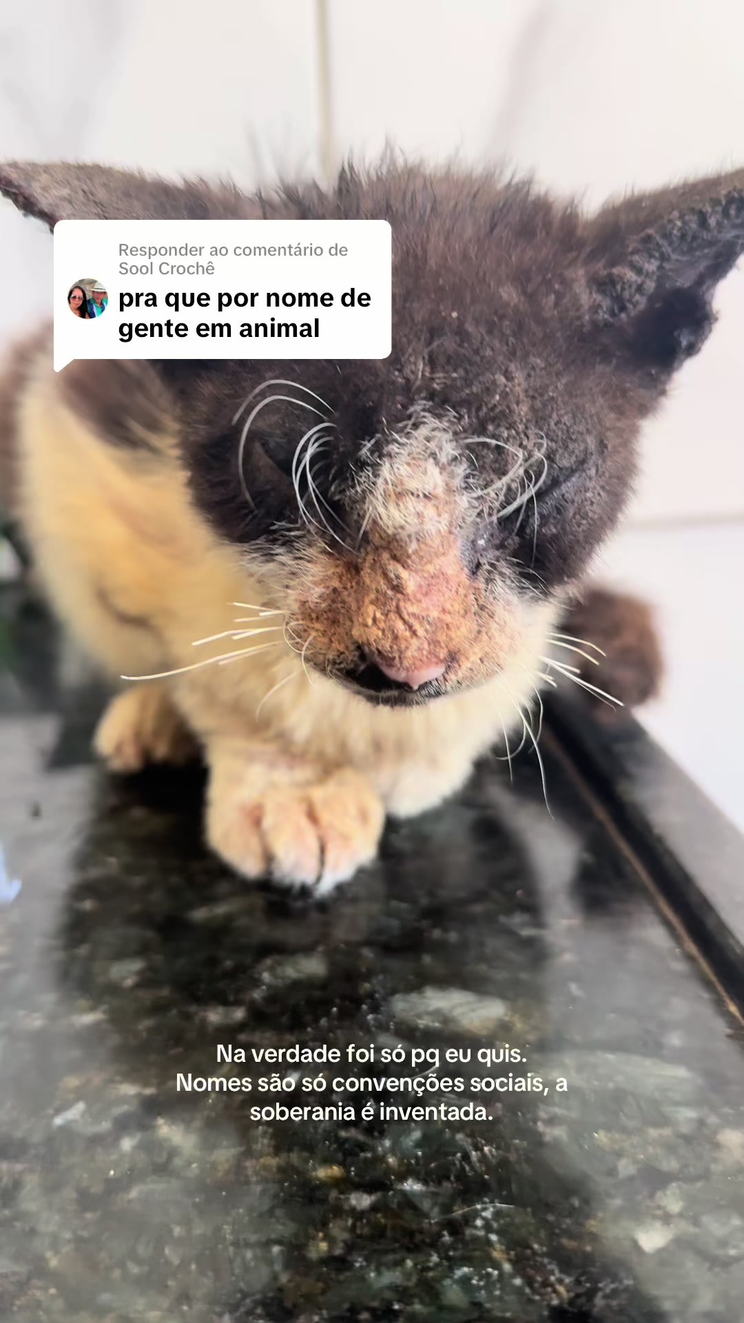 @ogatorenatinho