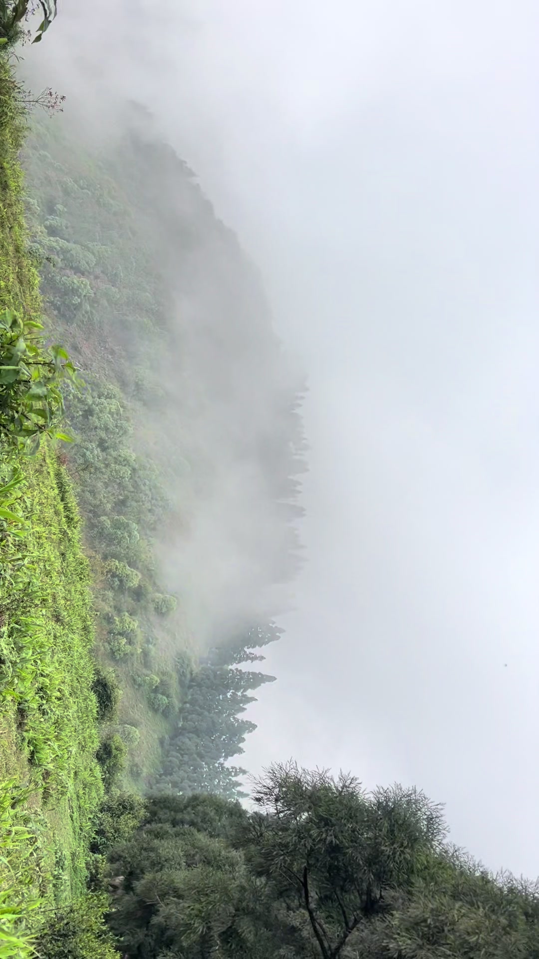 @Nittin Jabegu Limbu
