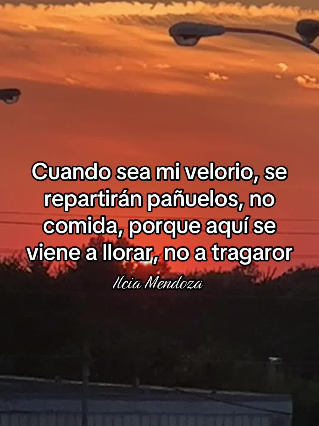 @Ilcia Mendoza🦋🌻🖤