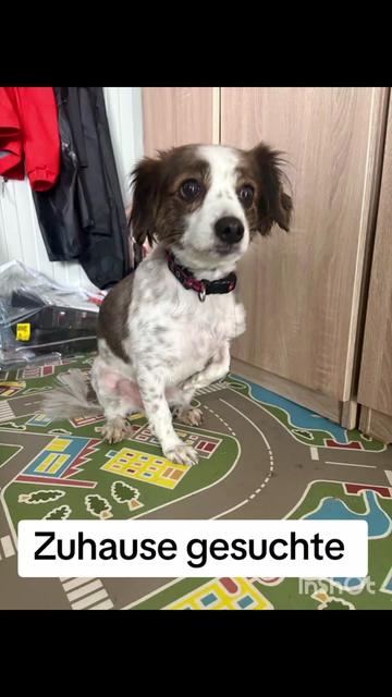 @Azzurra
