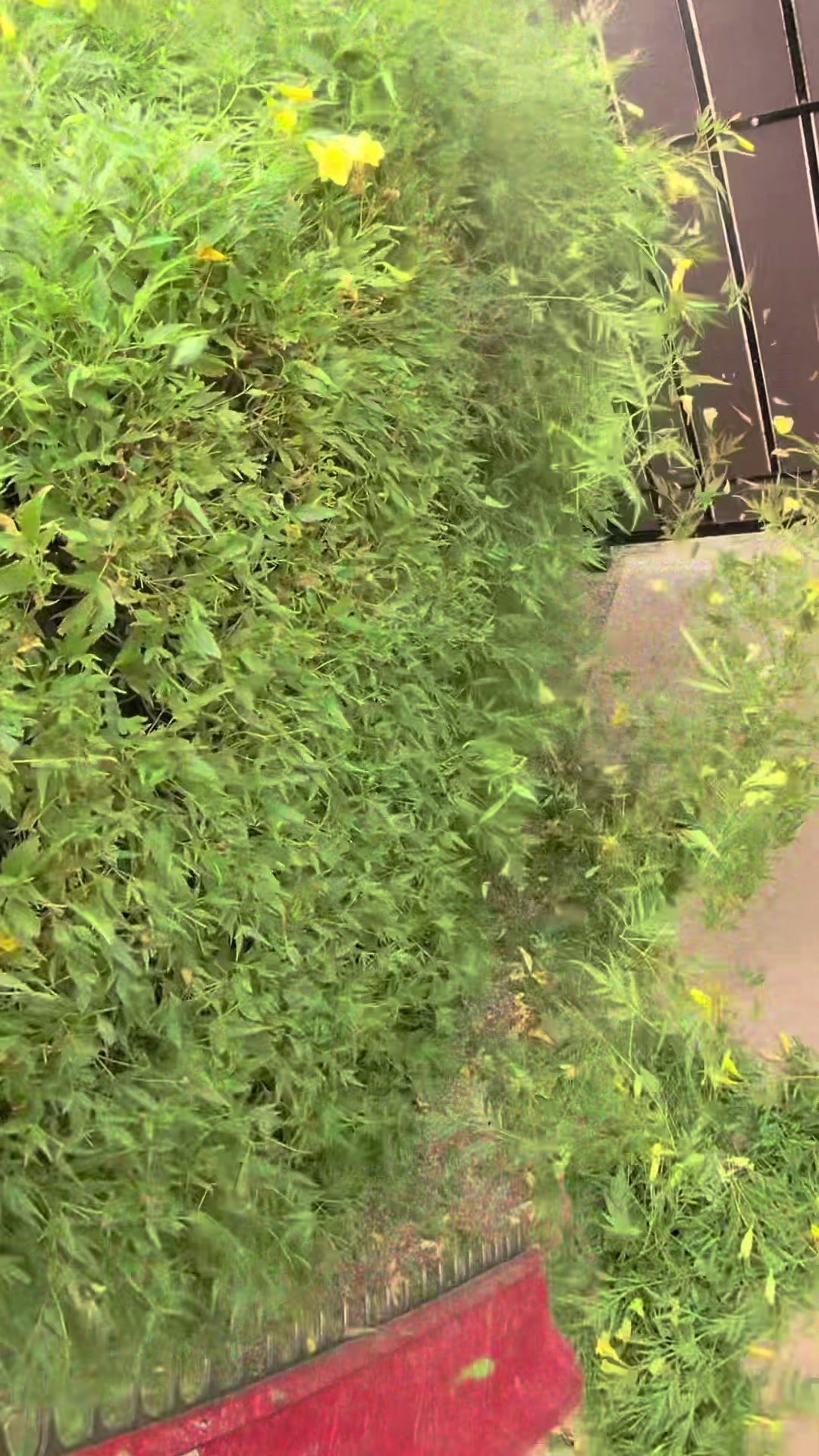 @landscaping