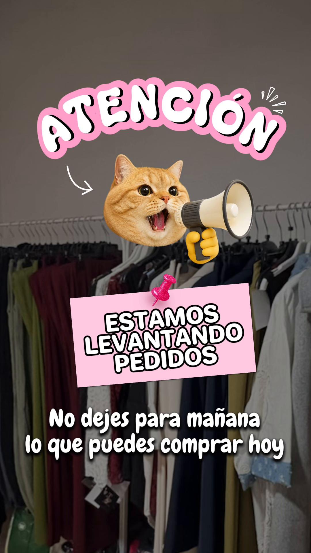 @Judith Pérez Molina