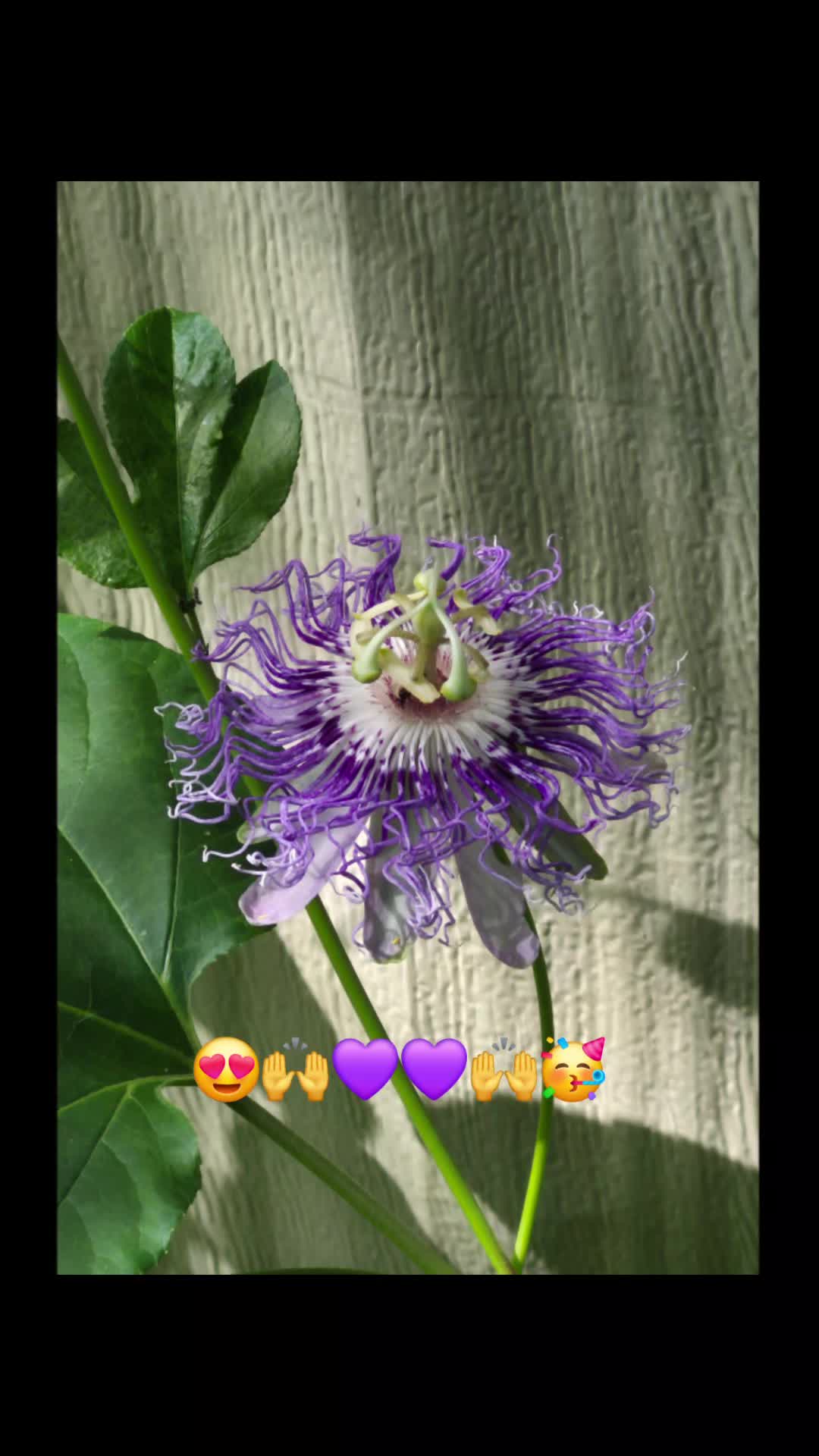 @AngiG