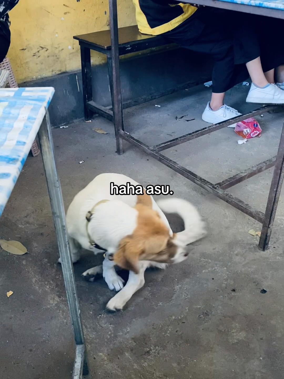 @𝙎𝙀𝙈𝙍𝘼𝙒𝙐𝙏✰
