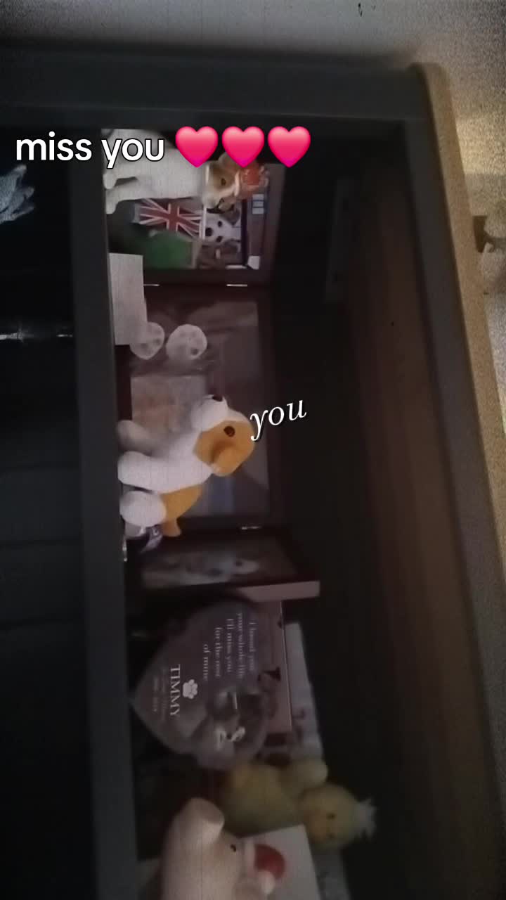 @Rebeccalillyꨄ𓆉