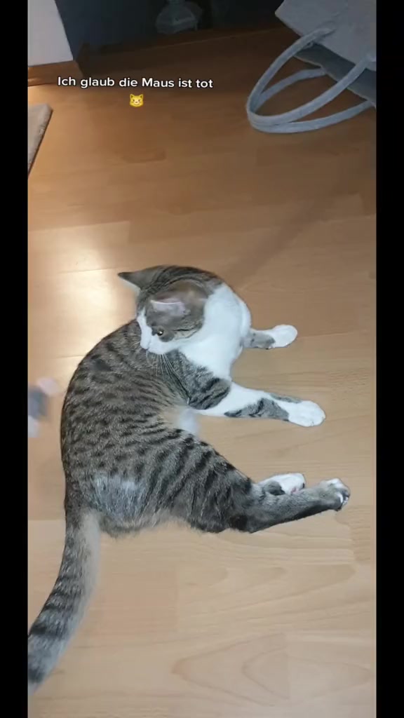 @Minnoş❤💙61