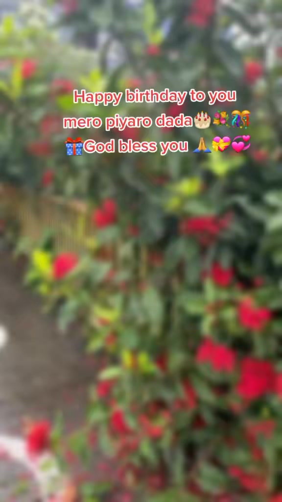 @तिम्री सानि म ❤️