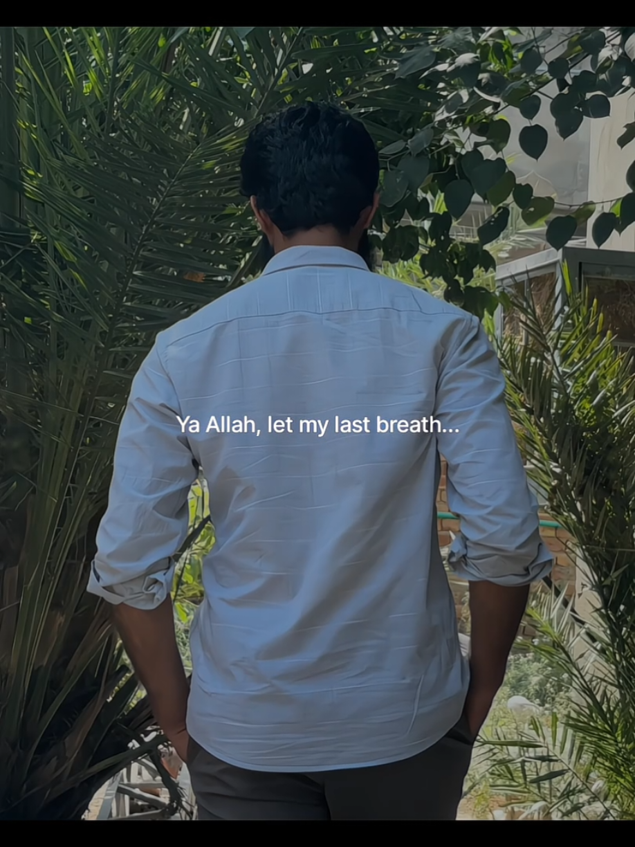 @Halal Mohsin