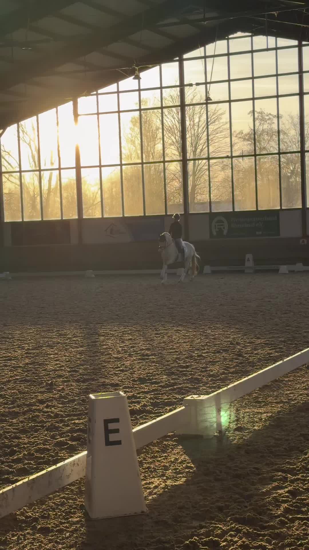 @Leni_sophie_gosmann