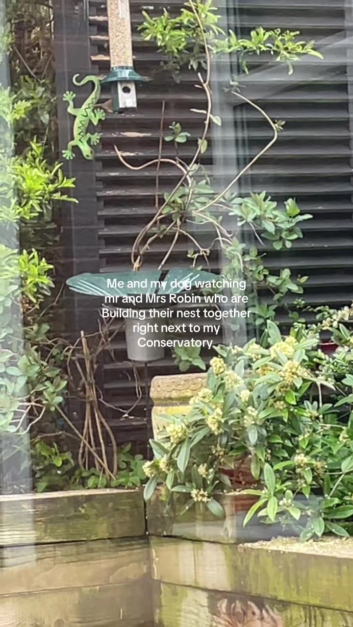 @👩🏻🦳❤️🐕