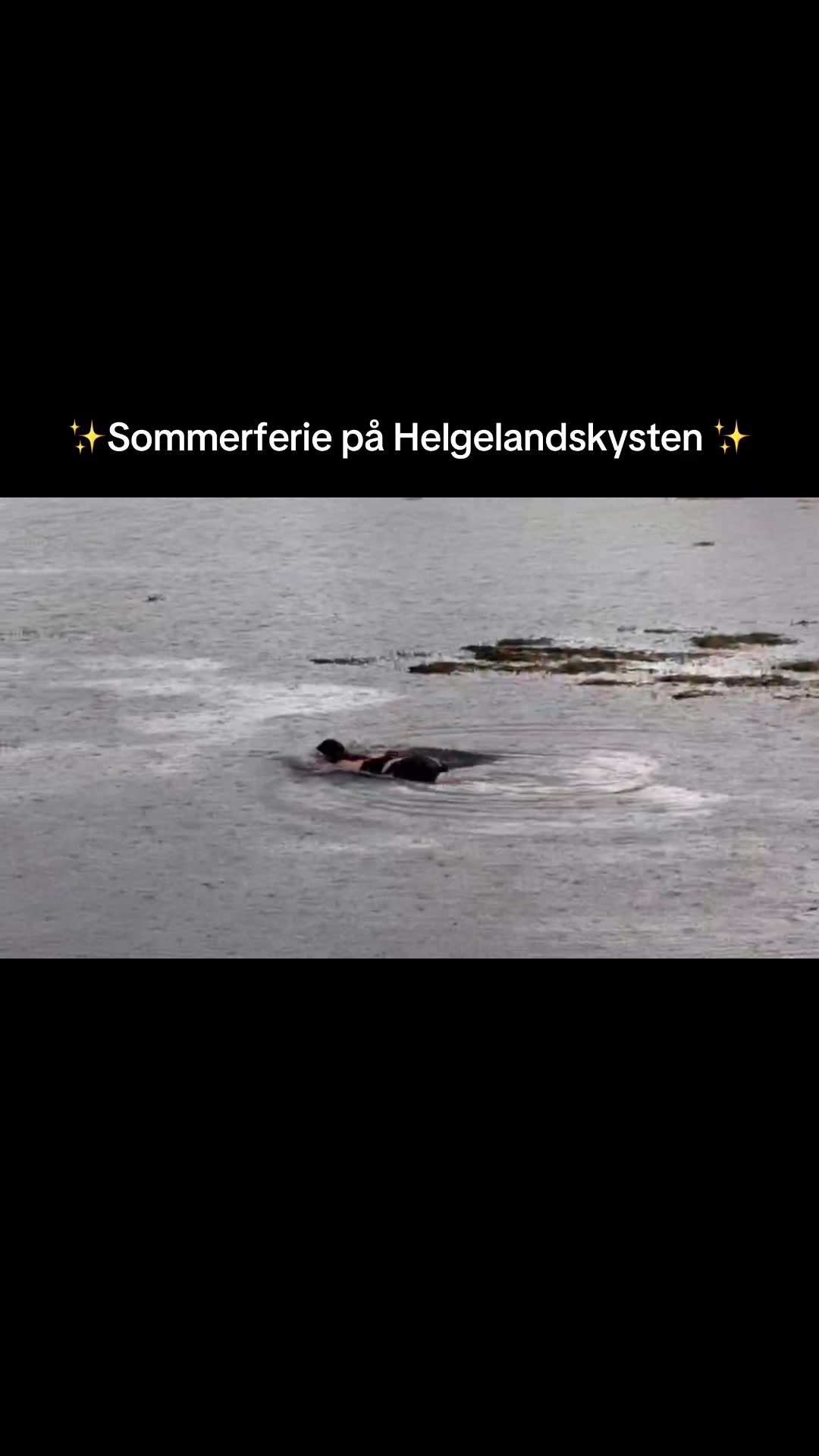 @Sonja Iren ☀️