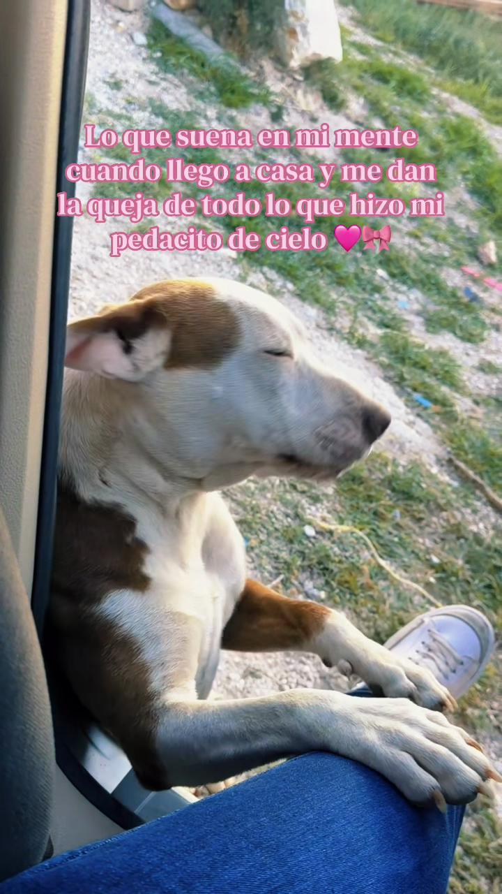 @Melii 🎀🩷