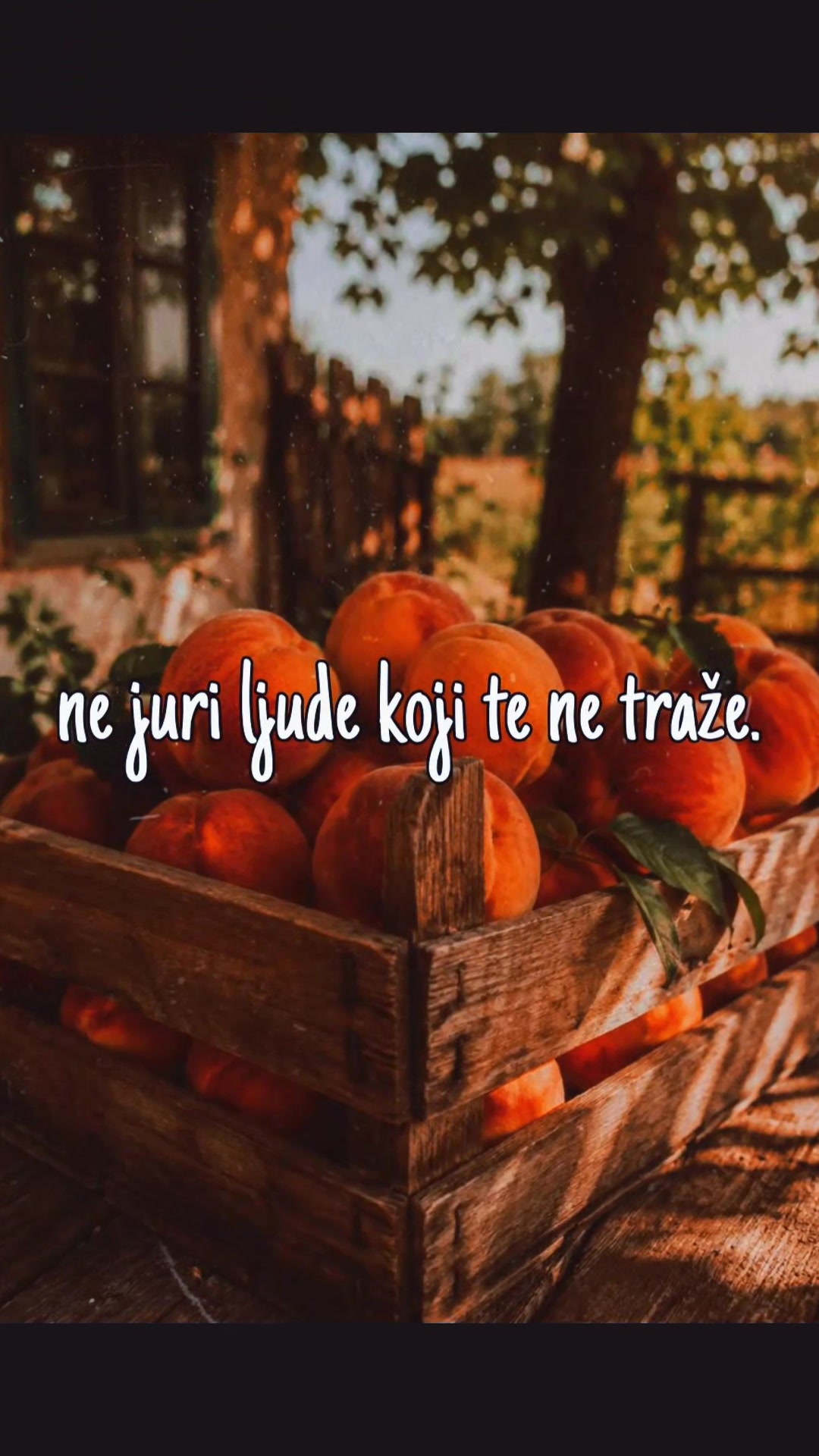 @💙Sonja💙