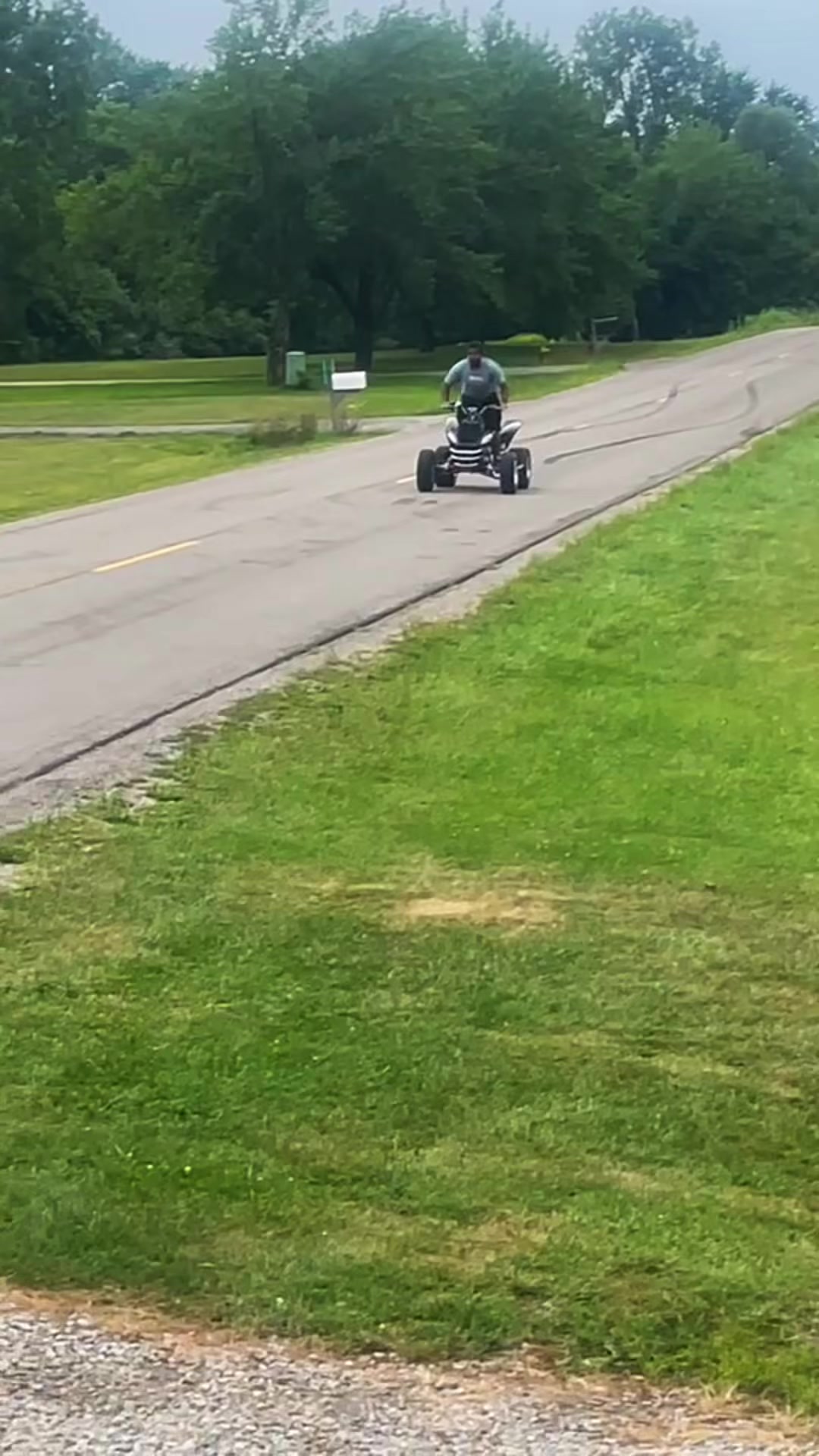 @ZbraCheby5.0