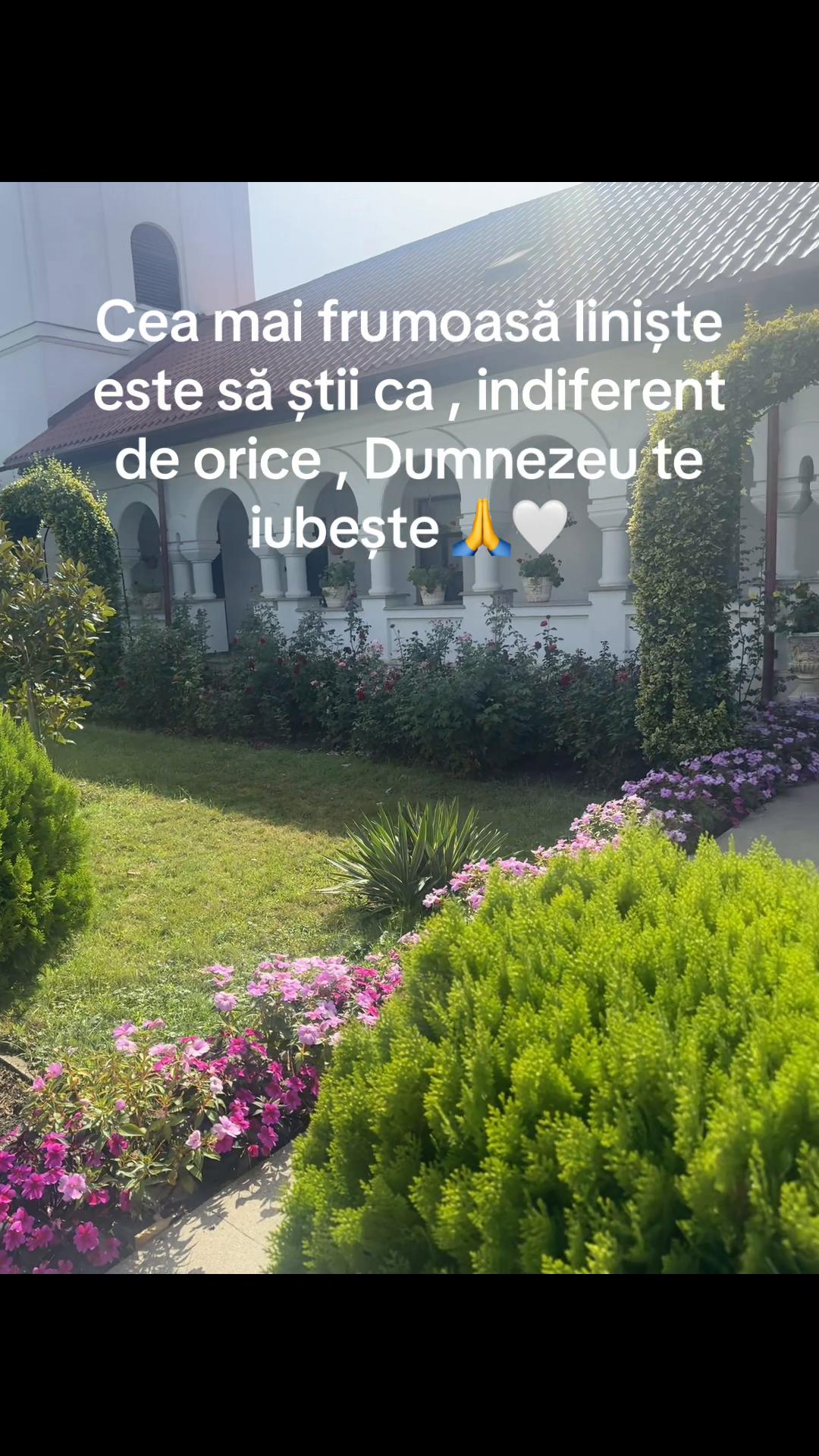 @❤️Alice ❤️
