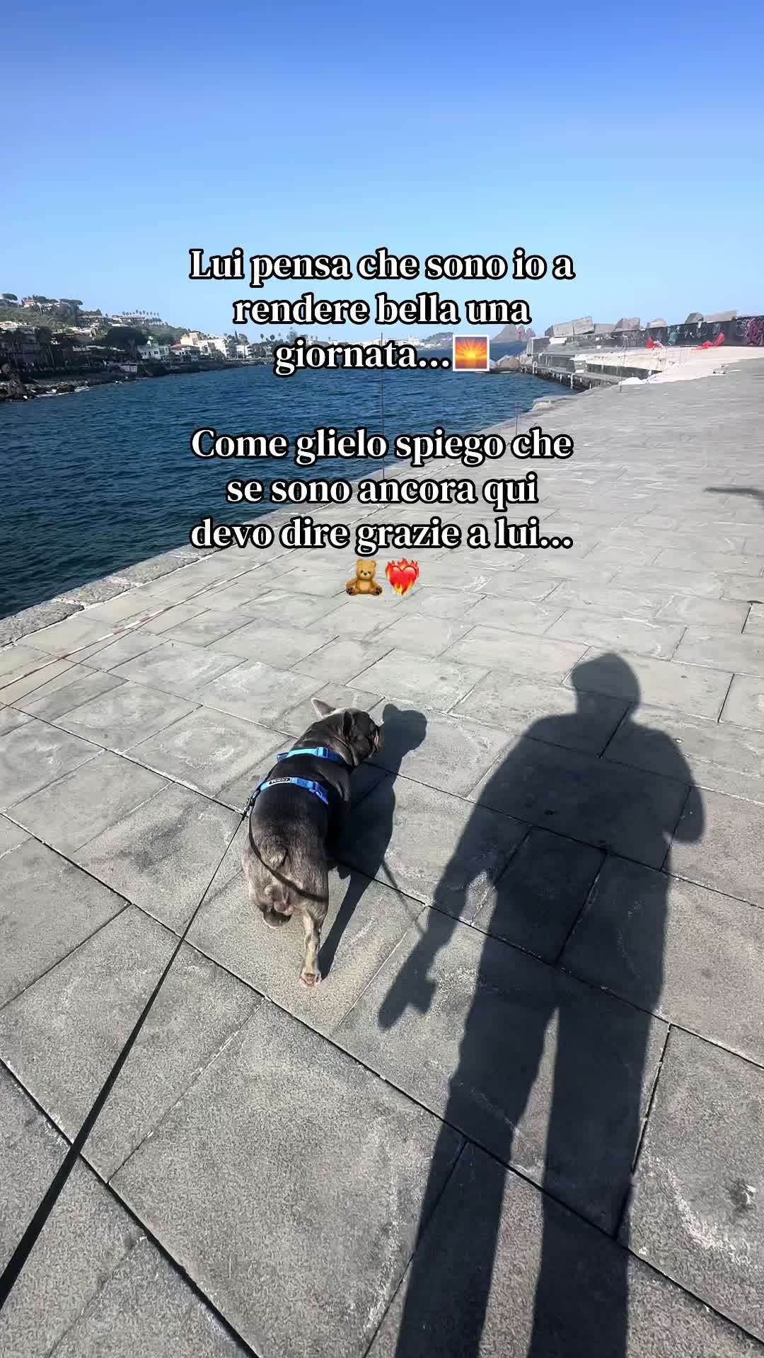 @𝐴𝑛𝑑𝑟𝑒𝑎 𝑒 𝐶𝑖𝑐𝑐𝑖𝑜🧸
