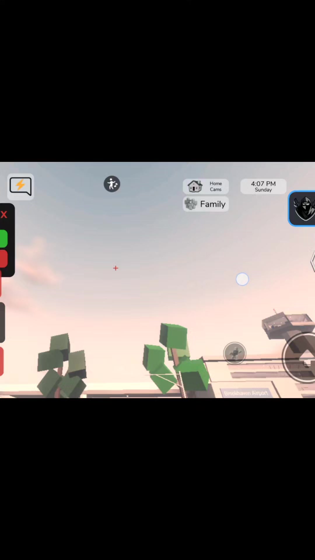 @Roblox_player