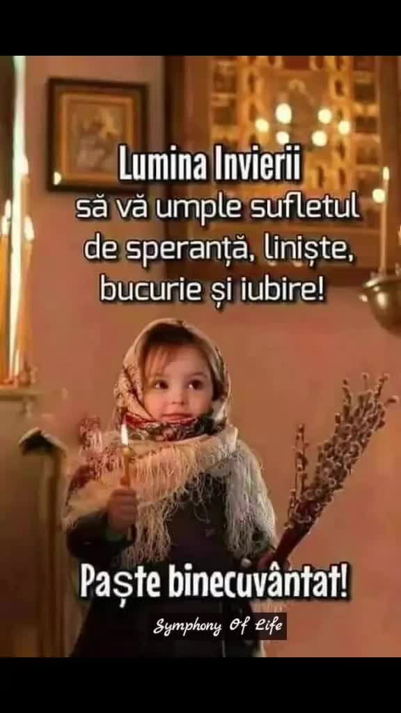 @Carmen Capota565