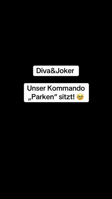 @Joker & Diva