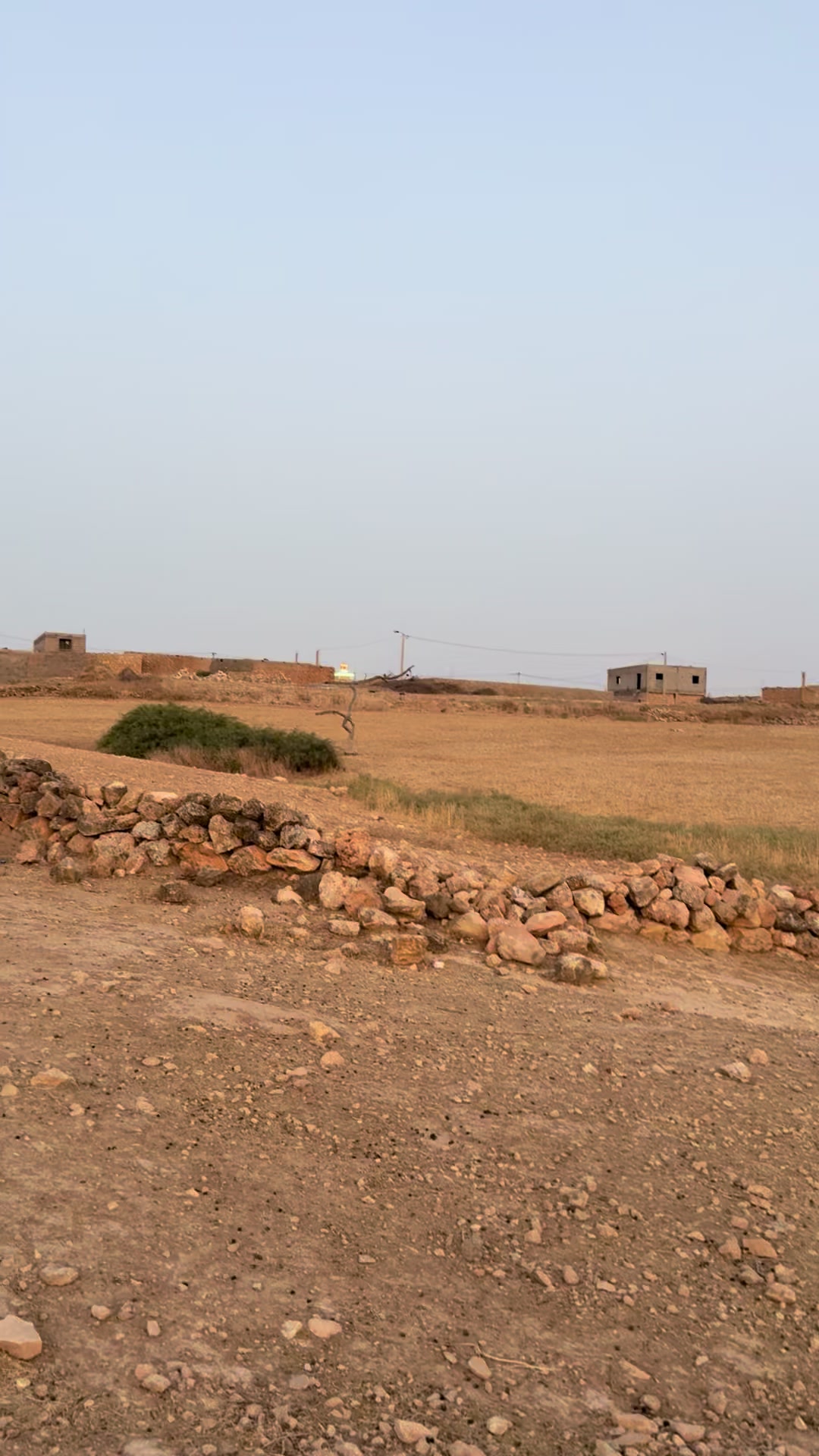 @nadia el