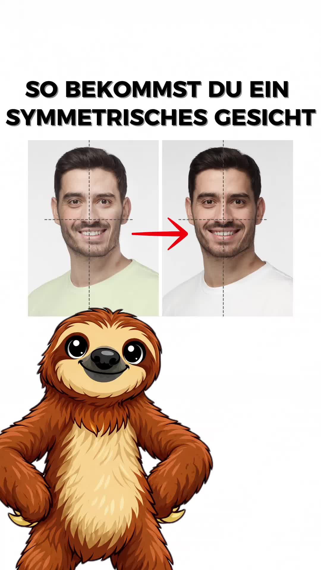 @FaultierFakten 🦥