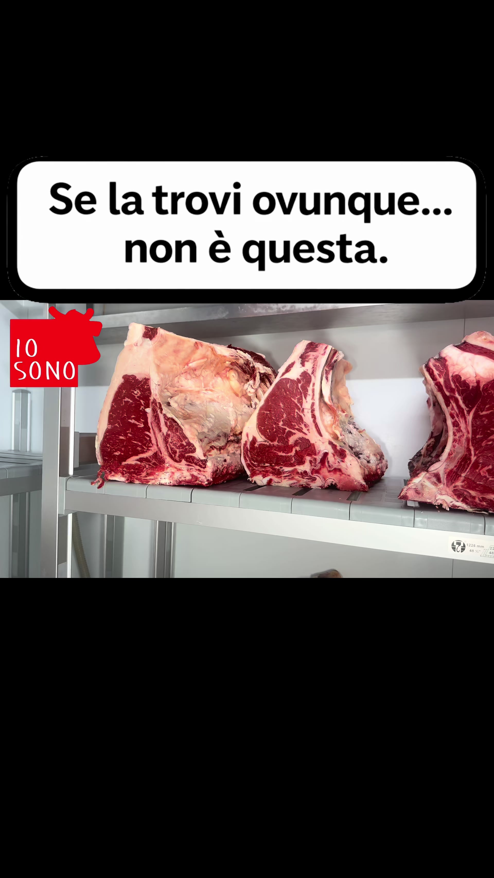 @iosonolachianina