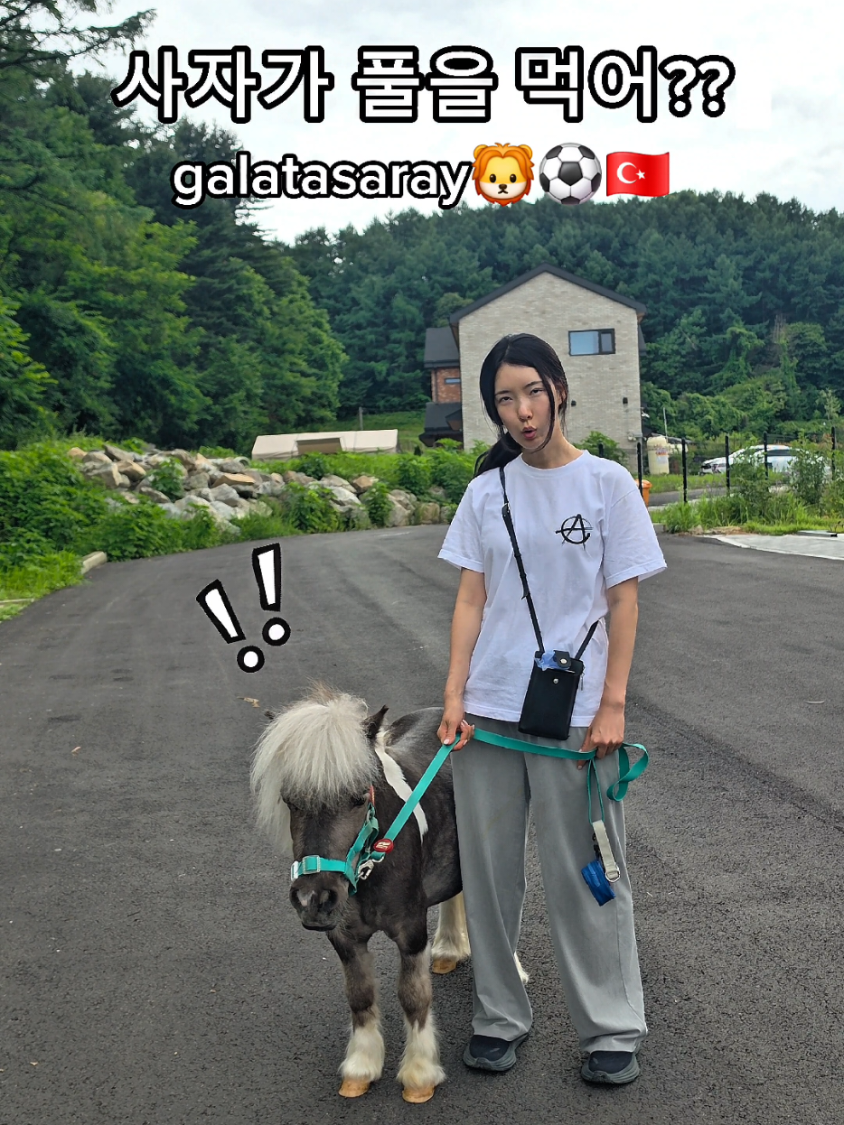 @작은말월리 | 월리플랍🦄