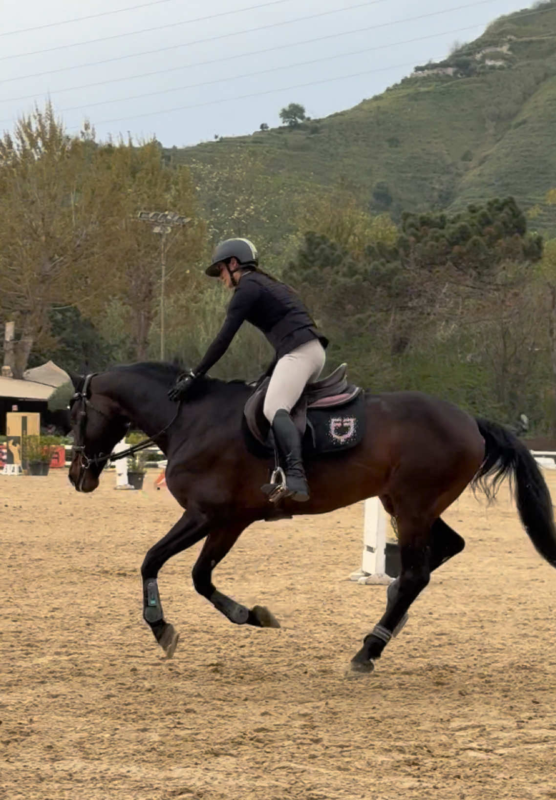 @Fabiana Tuccillo🇮🇹🐴🫀