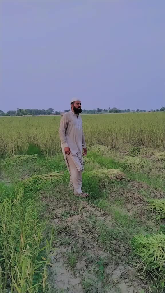@Sarfraz qadri sahu