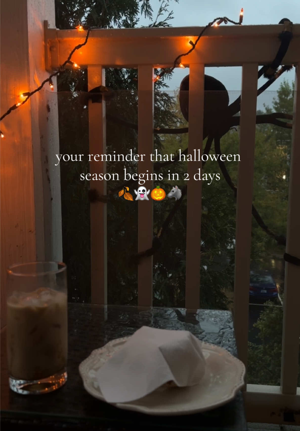@BEAR AND FRIENDS