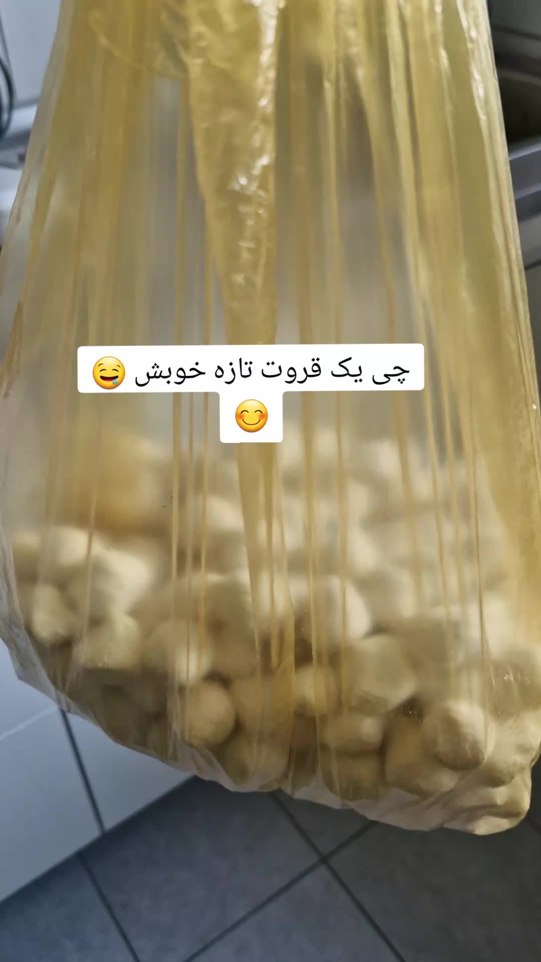 @Atena afshar 2425