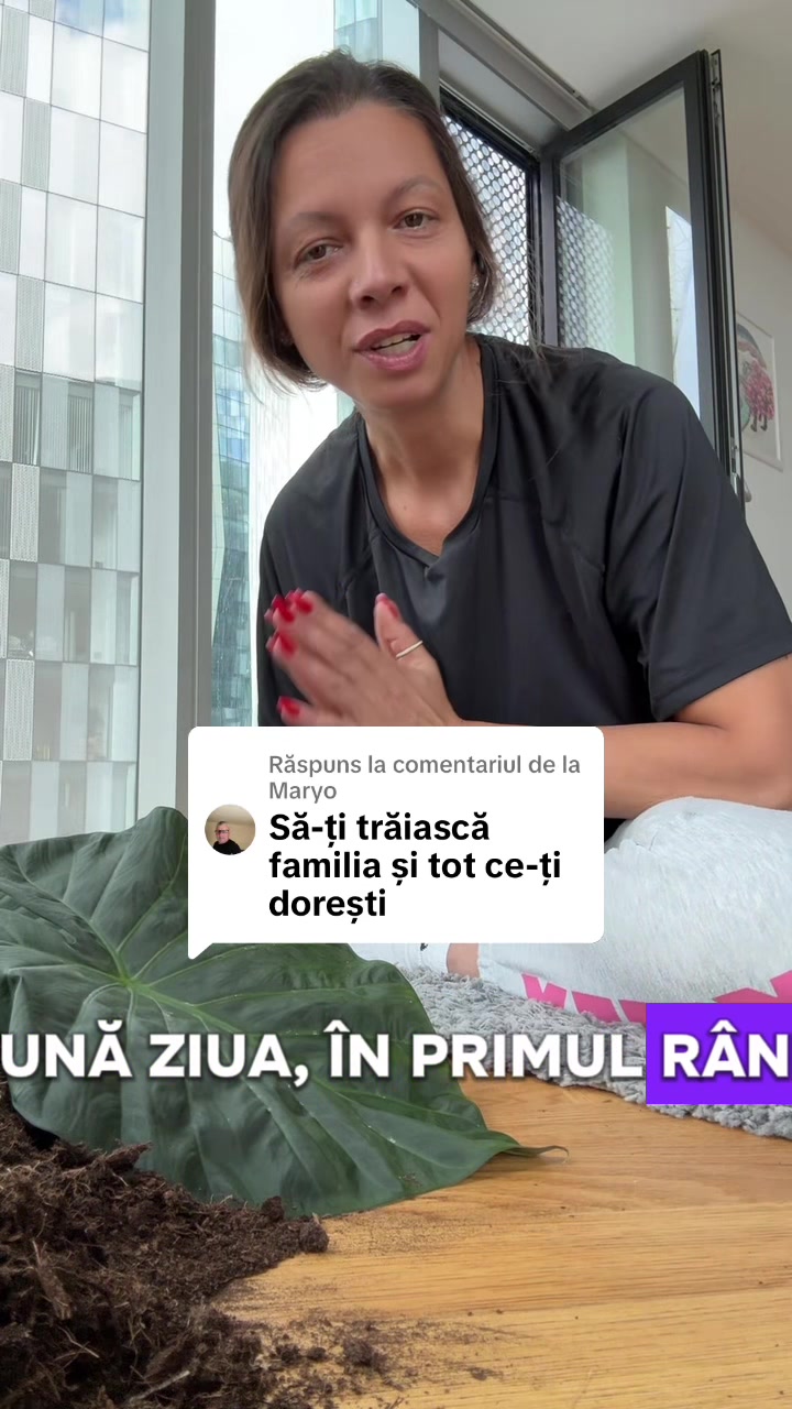 @paula ❤