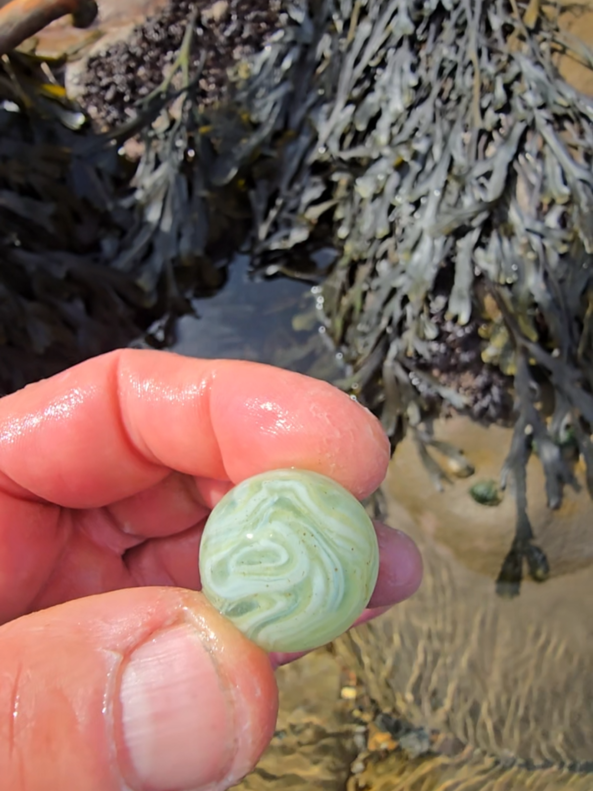 @seaham4seaglass