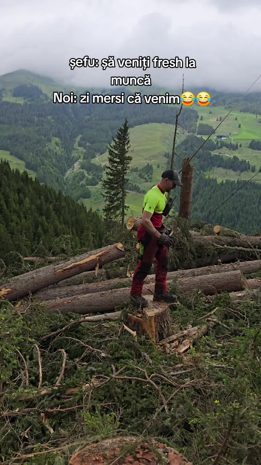 @Nicu Văsieș