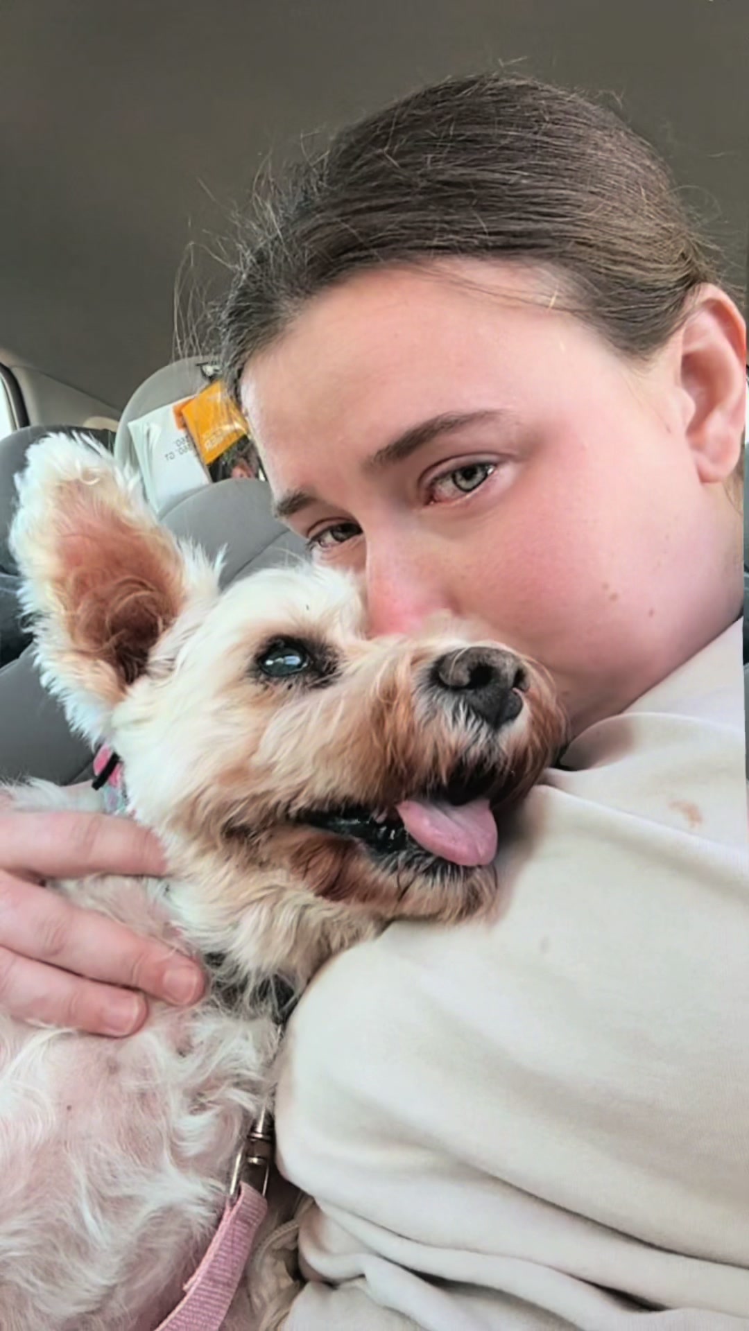 @SHERRALEE|PETLOSS|MENTALHEALTH