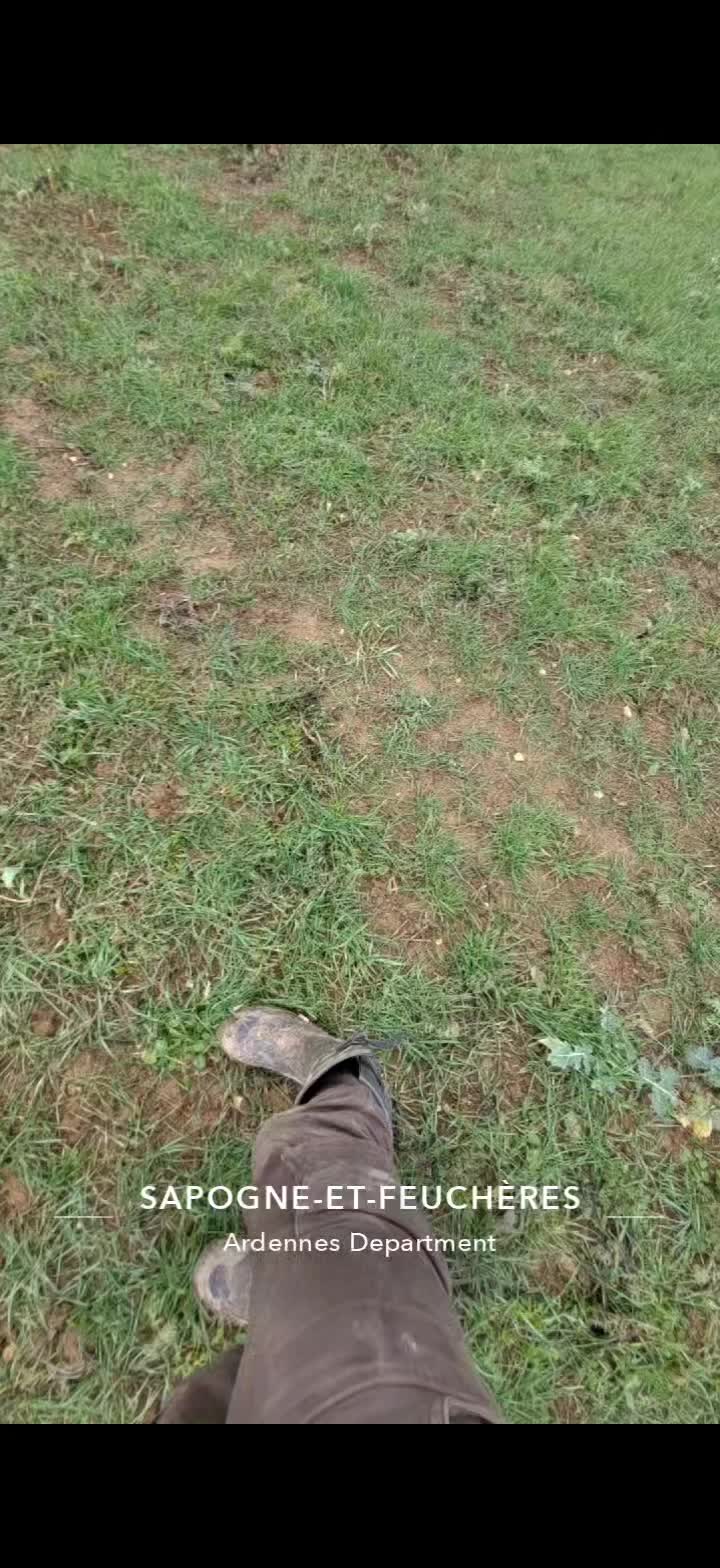 @natan.agri